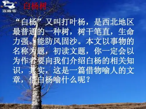 3、《白杨》1