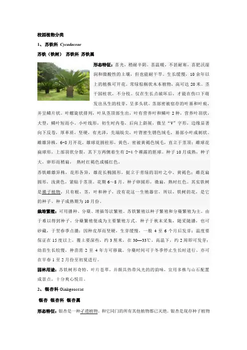 校园植物分类