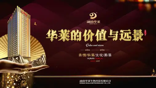 2019华莱的价值与远景-已转档
