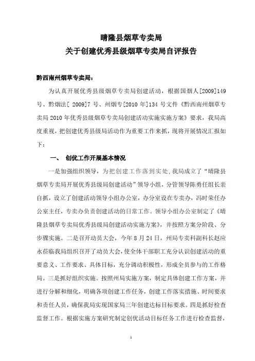 自评报告