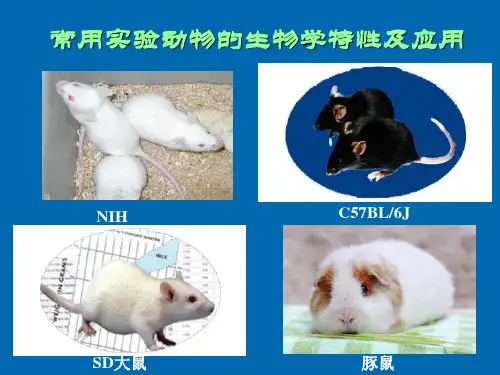 小鼠 大鼠 实验动物生物学特性(2011)