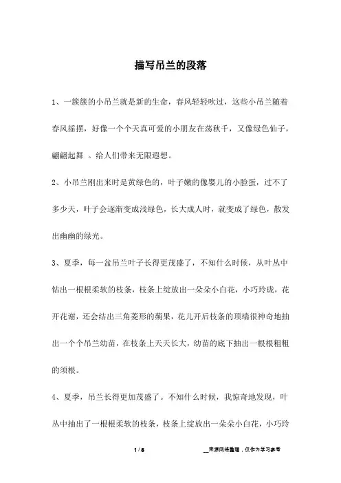 描写吊兰的段落