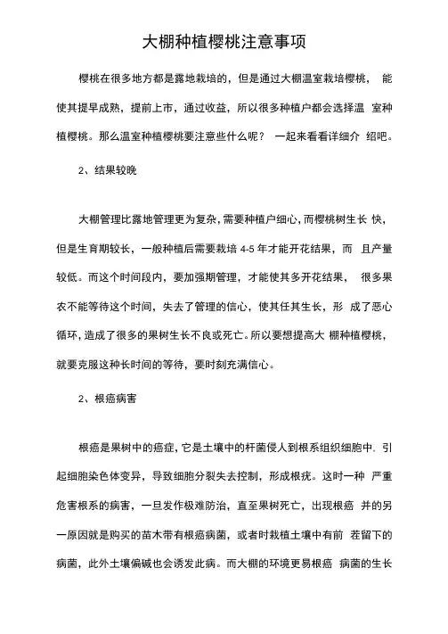 大棚种植樱桃注意事项 2
