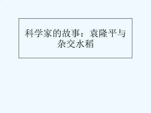 科学家的故事袁隆平与杂交水稻