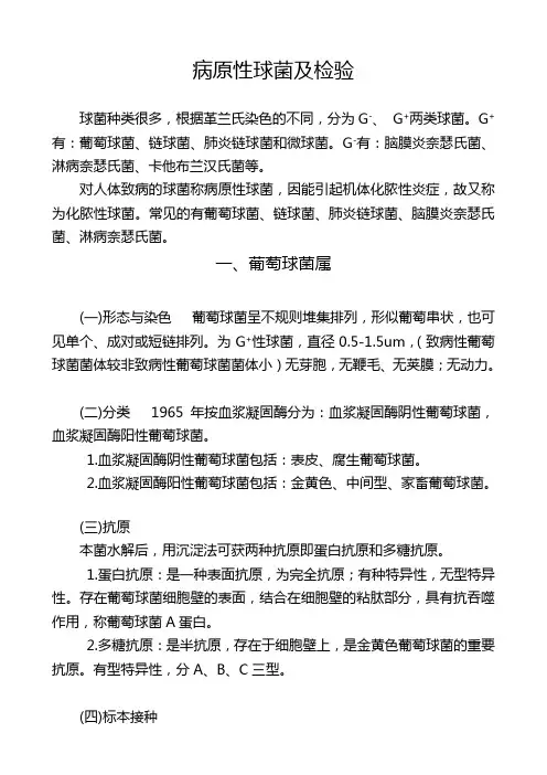 病原性球菌及检验