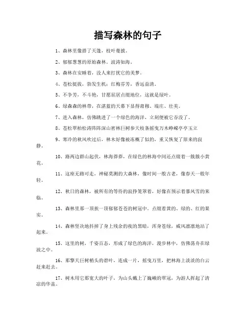 描写森林的句子