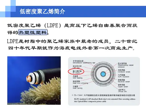 低密度聚乙烯