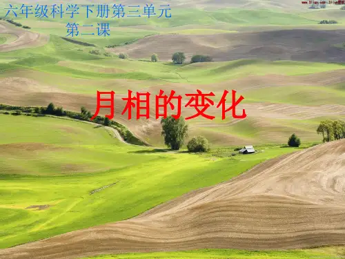 六年级科学下册《月相变化》教学设计课件