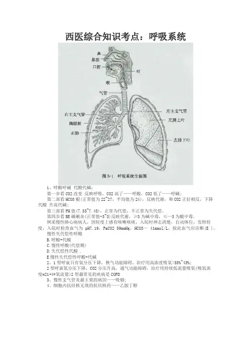 西医综合知识考点：呼吸系统