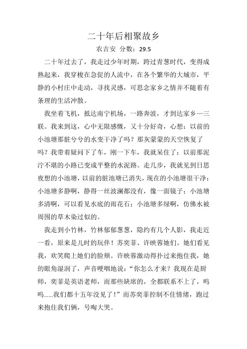 二十年后相聚故乡