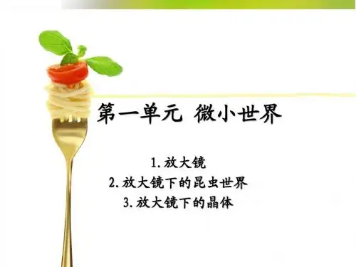 六下第一单元微小世界