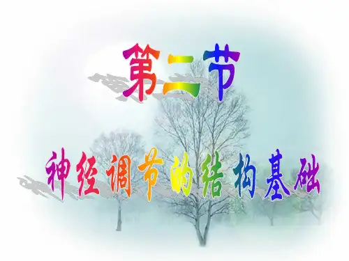 脊髓