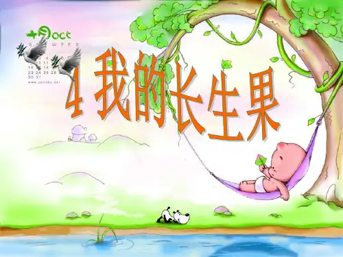 4、我的长生果PPT