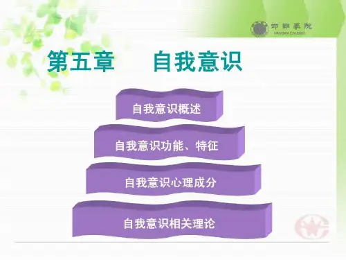 自我意识相关理论共37页