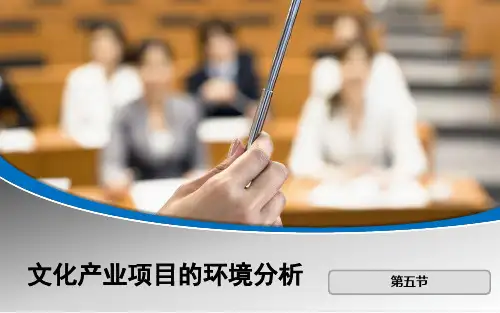 文化产业项目环境分析资料