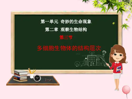 七年级生物上册第二章观察生物结构第3节多细胞生物体的结构层次济南版