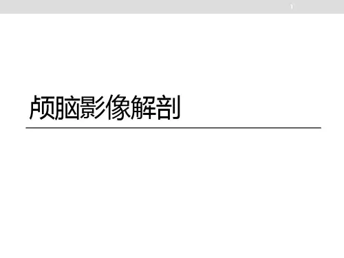 颅脑影像解剖ppt课件