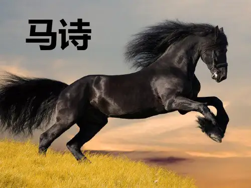 马诗