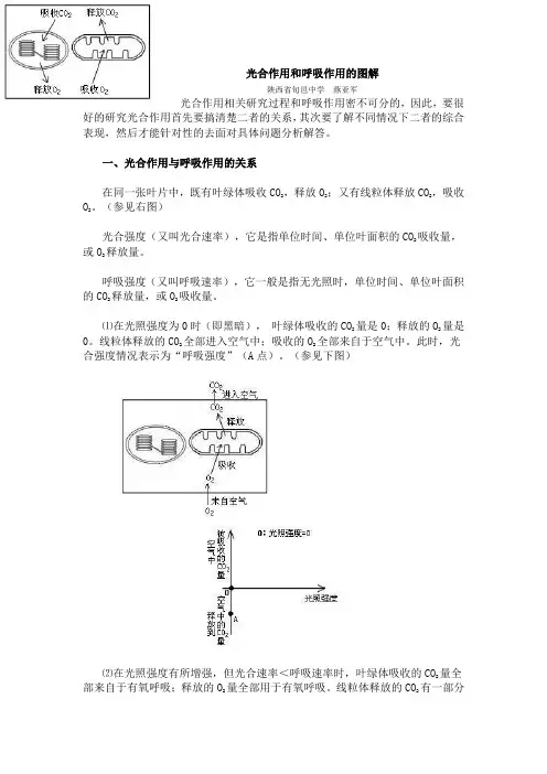 光合作用和呼吸作用的图解