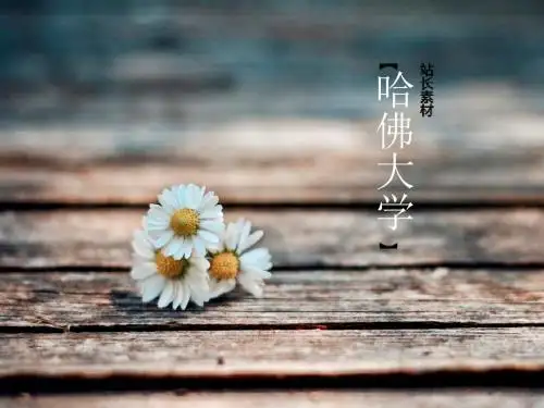 哈佛大学