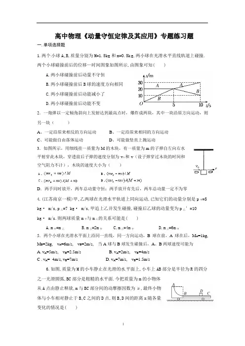 高中物理《动量守恒定律及其应用》专题复习题(可编文档+参考答案)