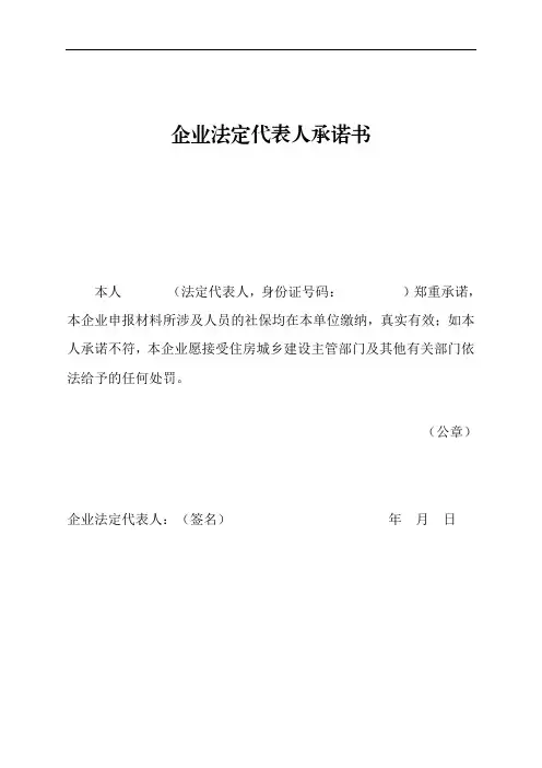 企业法定代表人承诺书
