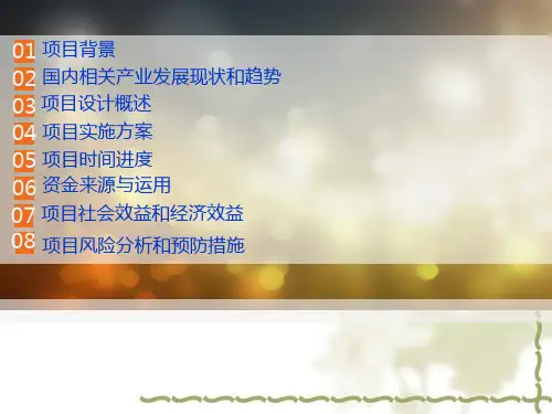 实景演出项目策划方案