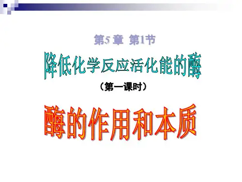 降低化学反应活化能的酶:酶的作用和本质
