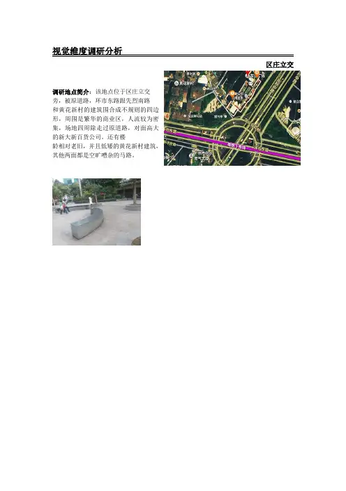 视觉维度调研分析