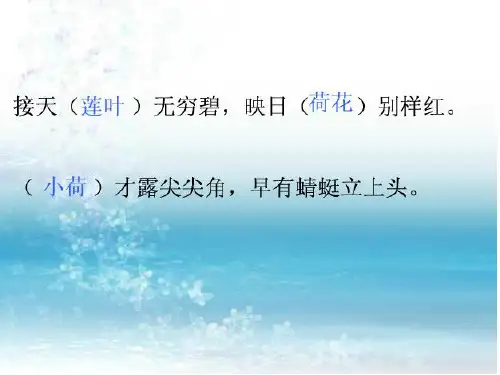 写荷花的作文