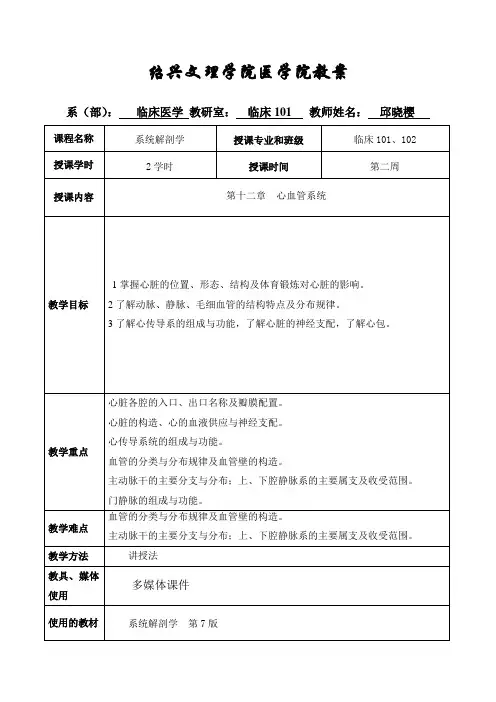 心血管系统 2