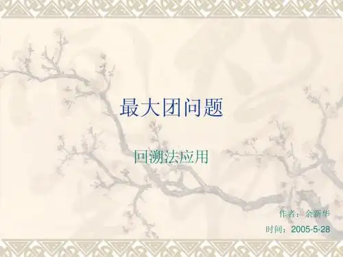最大团问题