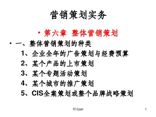 《营销策划实务》PPT课件