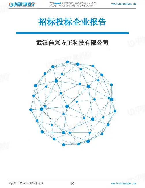 武汉佳兴方正科技有限公司-招投标数据分析报告