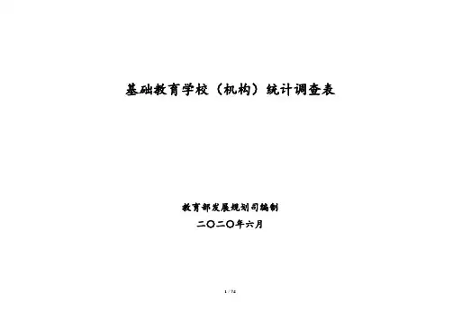 基础教育调查表2020(最新)