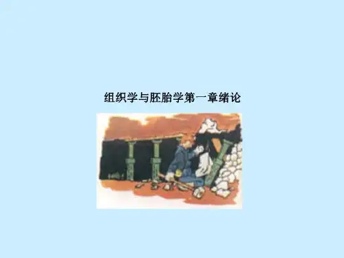组织学与胚胎学第一章绪论