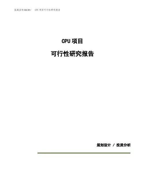 CPU项目可行性研究报告(规划设计模板)