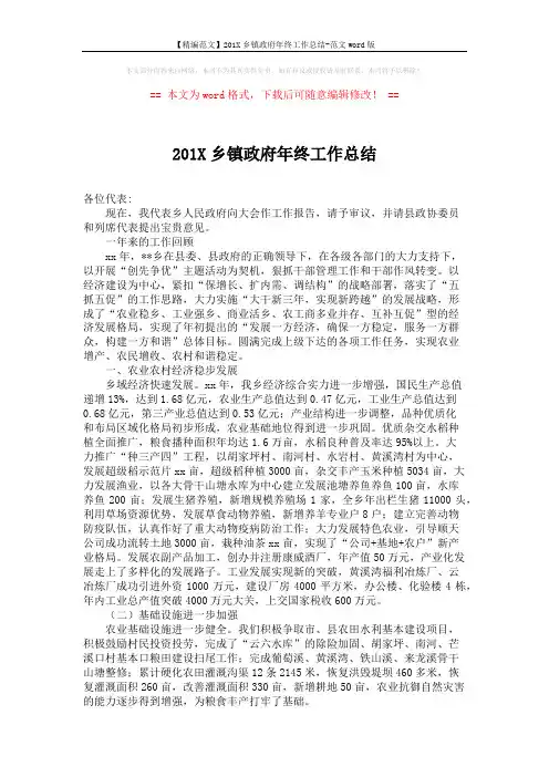 【精编范文】201X乡镇政府年终工作总结-范文word版 (2页)