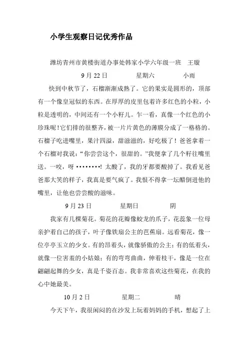 小学生观察日记优秀作品