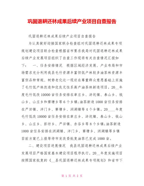 巩固退耕还林成果后续产业项目自查报告
