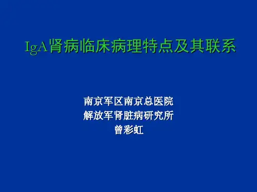 IGAN-曾彩虹