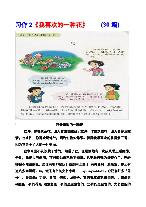 湘教版三年级上册习作2《我喜欢的一种花》范文(计30篇)