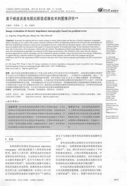 基于梯度误差电阻抗断层成像技术的图像评价