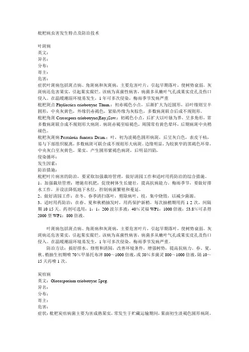 枇杷树栽培技术