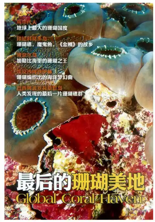 最后的珊瑚美地——