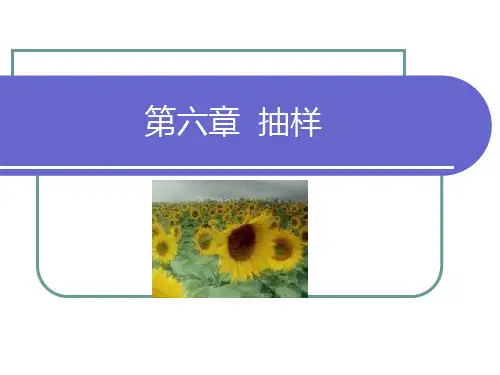社会学研究方法___6抽样