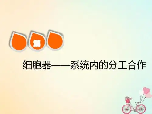 2019版高考生物一轮复习第二单元细胞的结构与物质的输入和输出第二讲细胞器__系统内的分工合作精盐件-PPT文