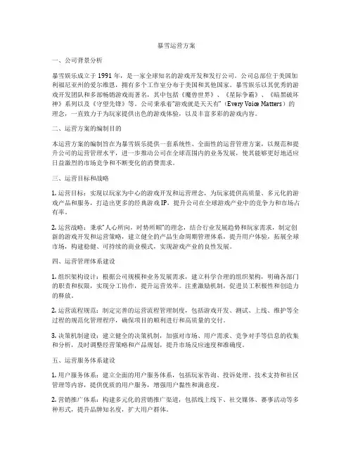 暴雪运营方案