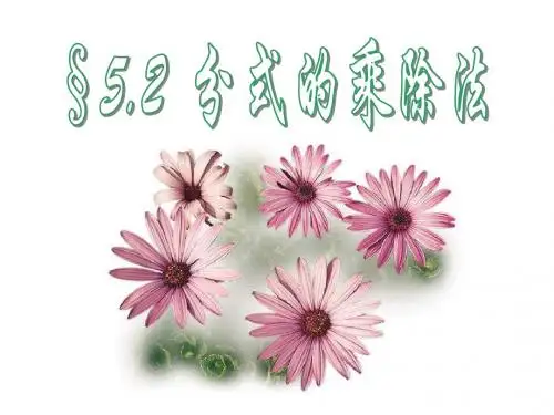 分式的乘除法