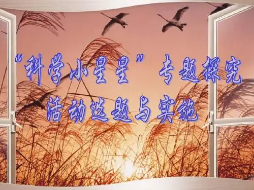 专题探究活动选题及实施